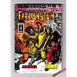 Frankenstein (Arédit -...